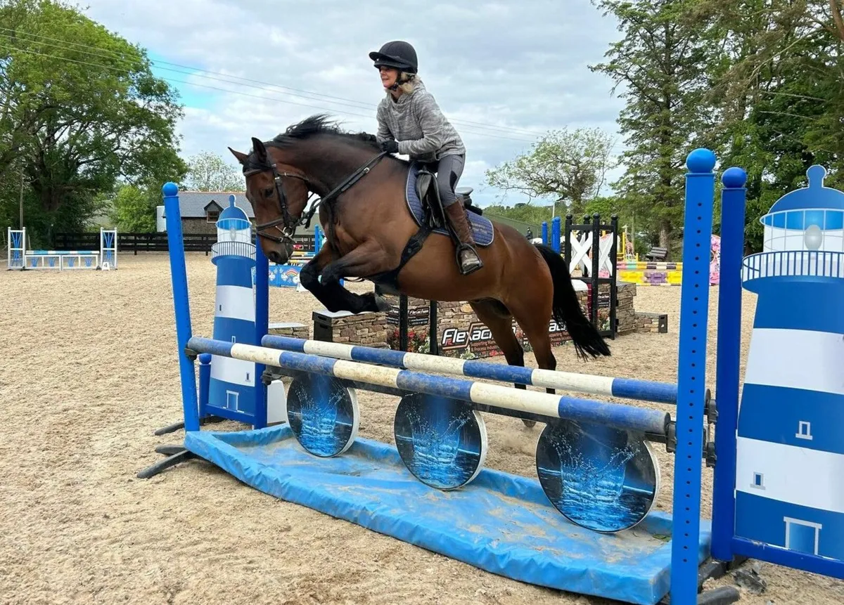 🌟 Super 15.2h All-Rounder 🌟 - Image 4