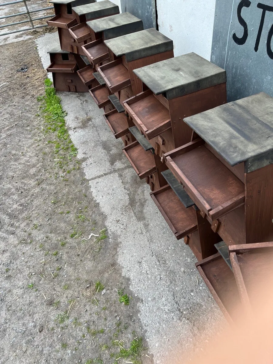 Owl boxes - Image 4