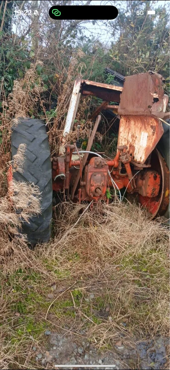 David brown bits - Image 2