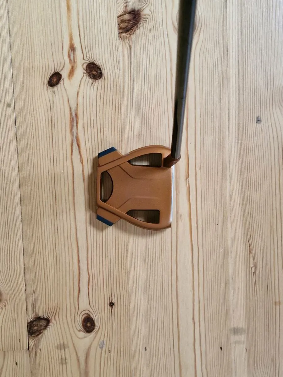 Taylormade Spider X putter - Image 2