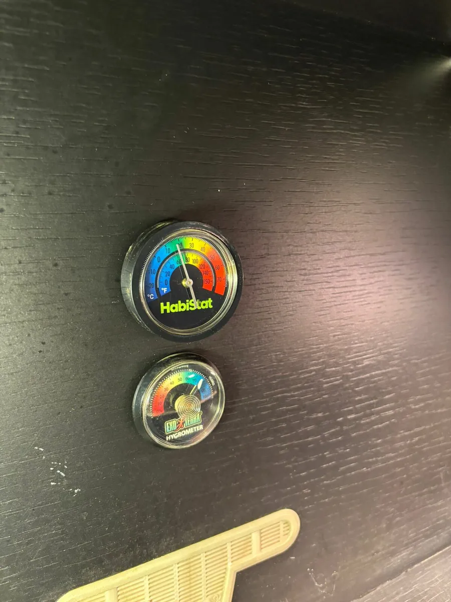 Reptile tank - Image 2