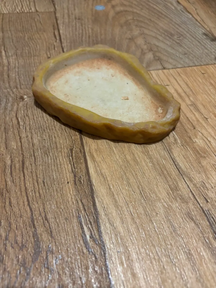 Reptile tank - Image 3