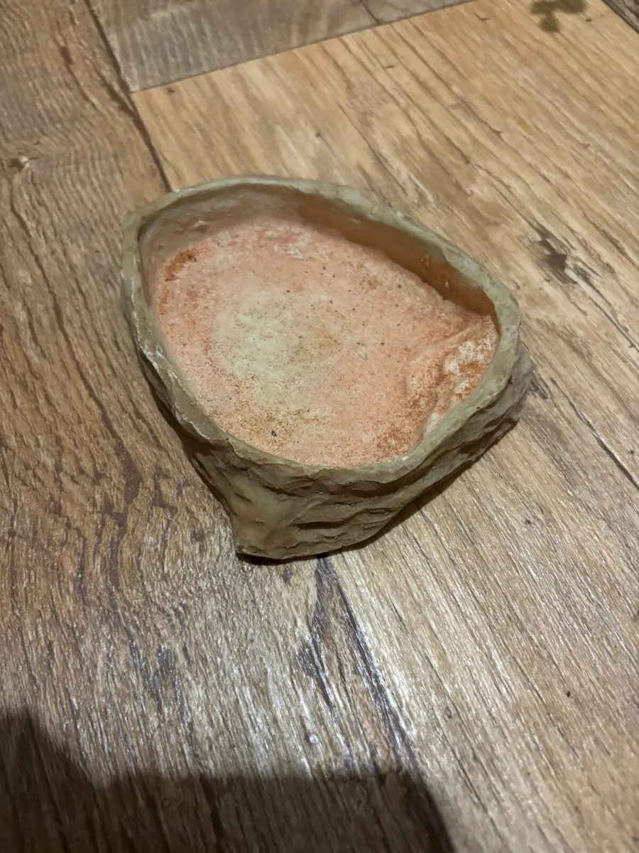 Reptile tank - Image 4