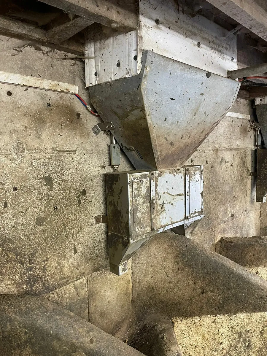 Fullwood Milking Parlour - Image 4