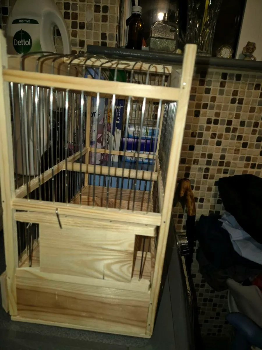 Song Birds and cages - Image 1