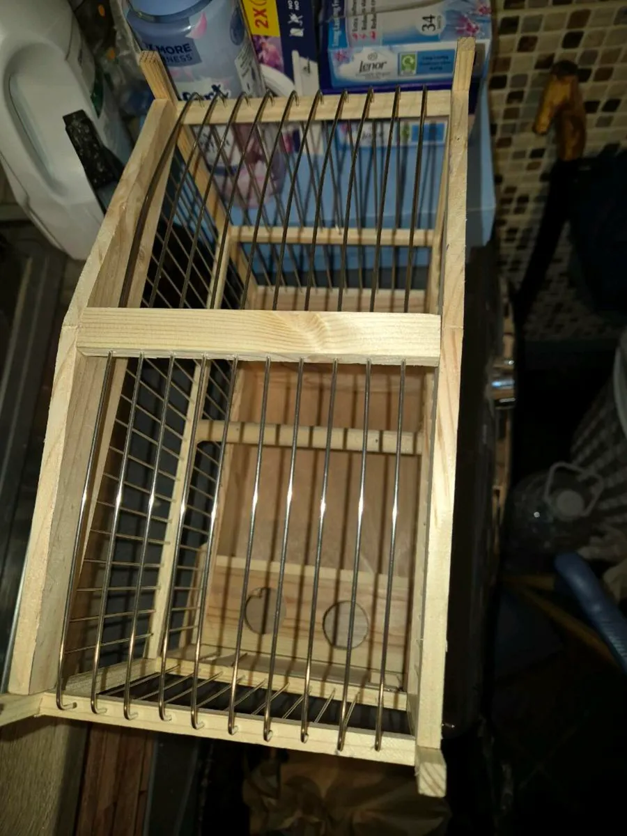 Song Birds and cages - Image 2