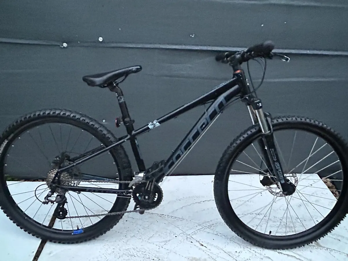 Carrera vengeance ❗️Open 7 days of the week ❗️ - Image 1