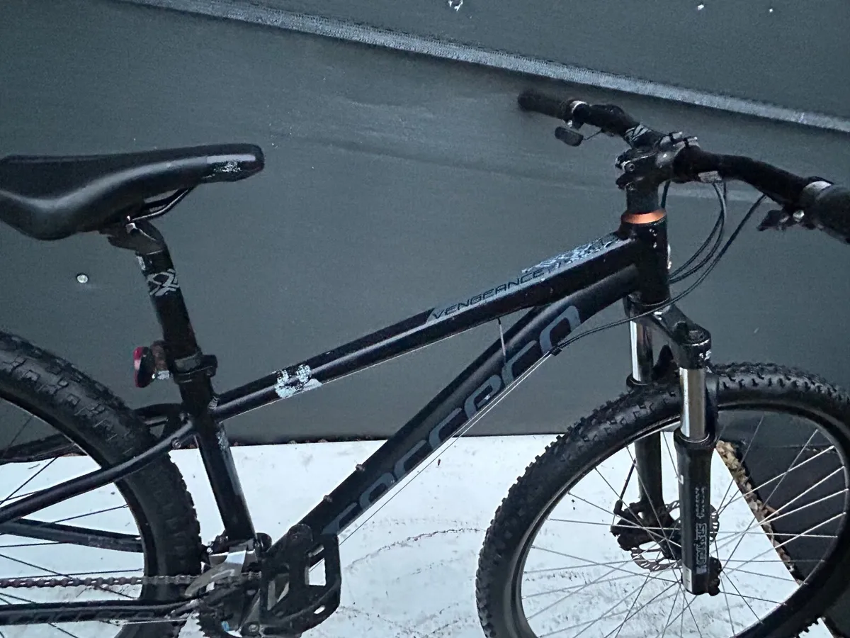 Carrera vengeance ❗️Open 7 days of the week ❗️ - Image 3