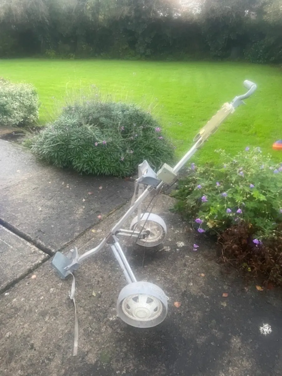 Golf Trolley - Image 1