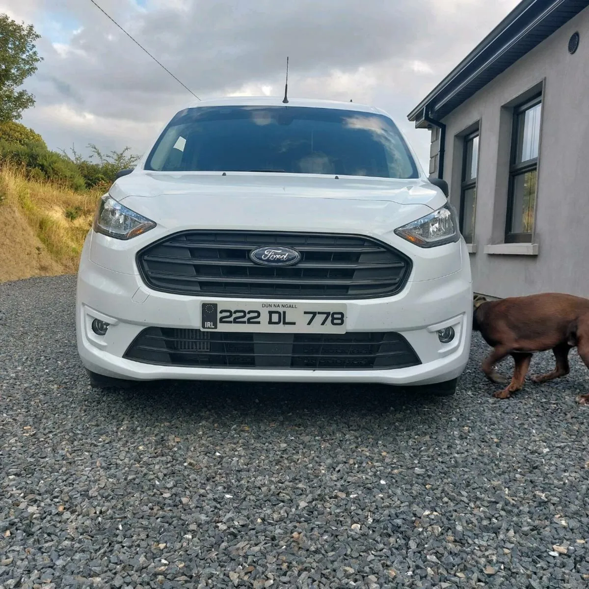 Ford connect - Image 3