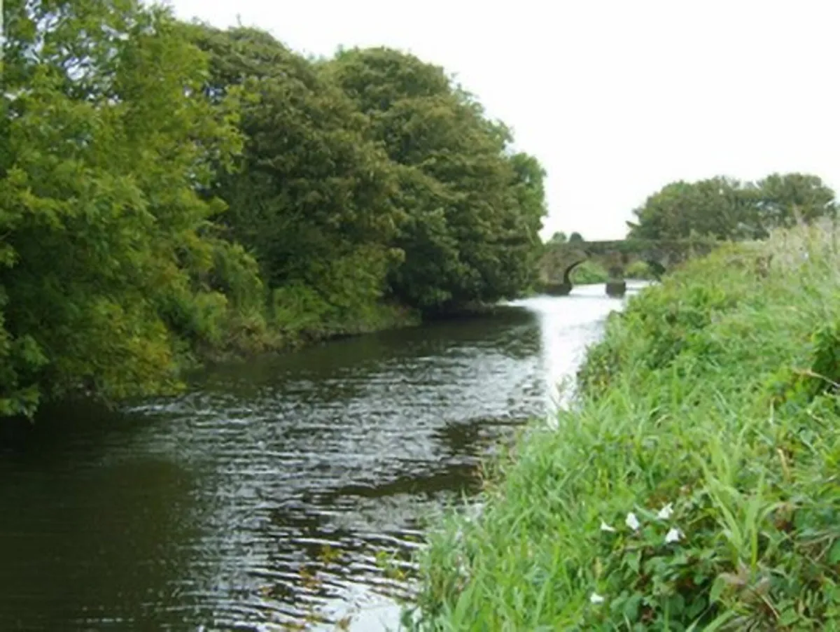 100%  Raw Natural Honey 228g - Image 4