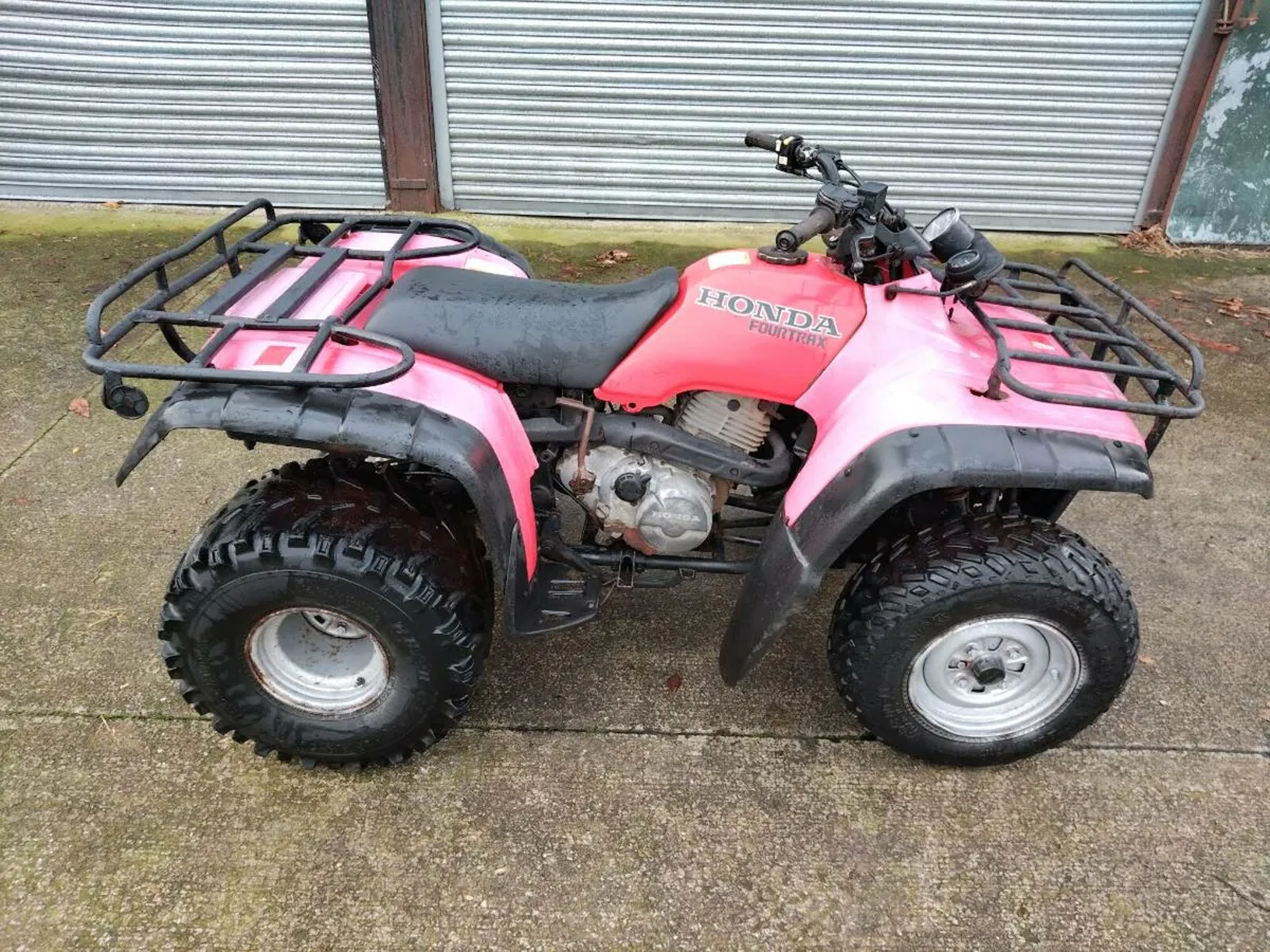 Honda 300 fourtrax - Image 2