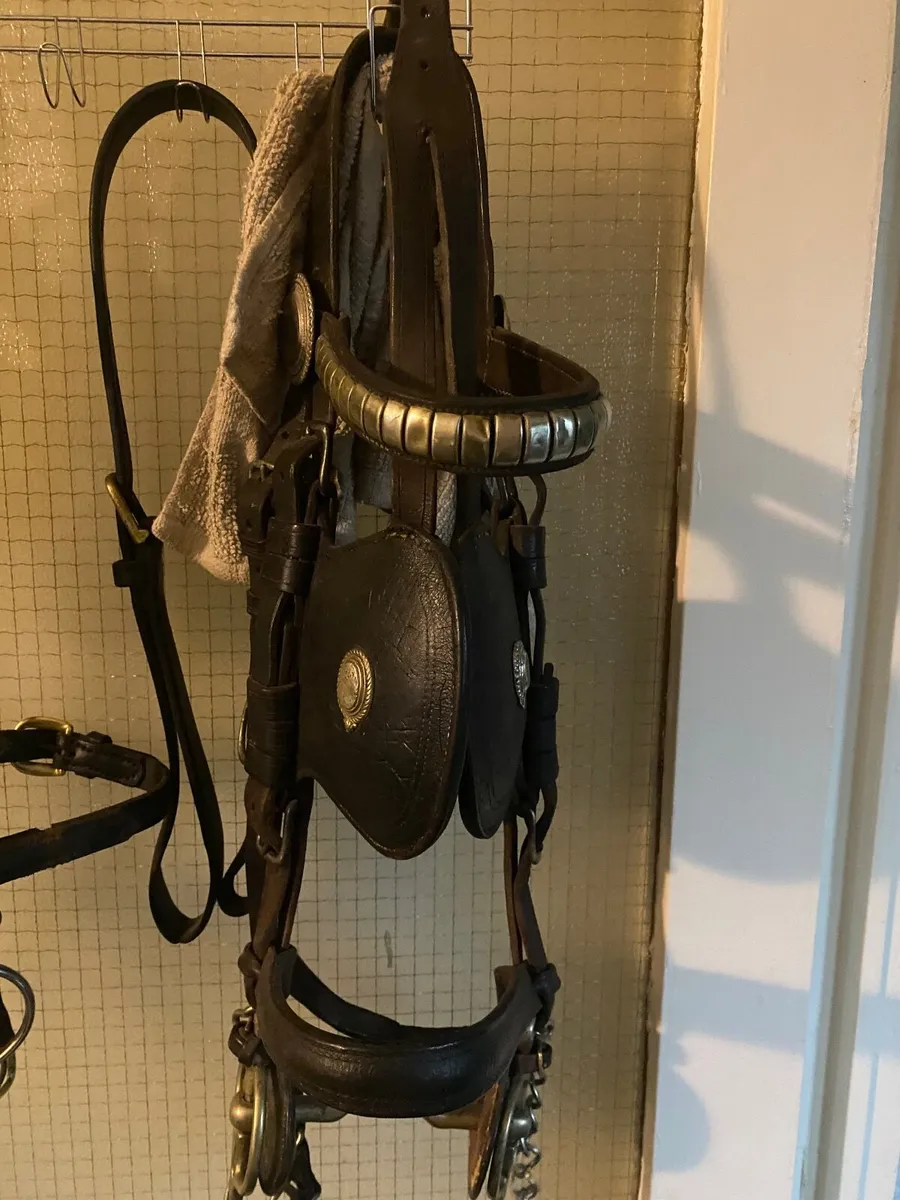 Driving Harness - Image 1