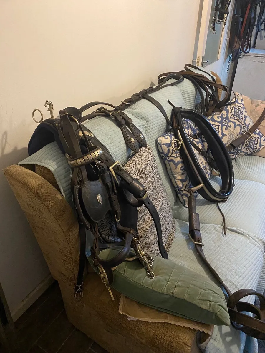 Driving Harness - Image 2