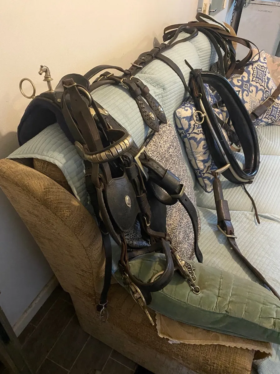 Driving Harness - Image 3