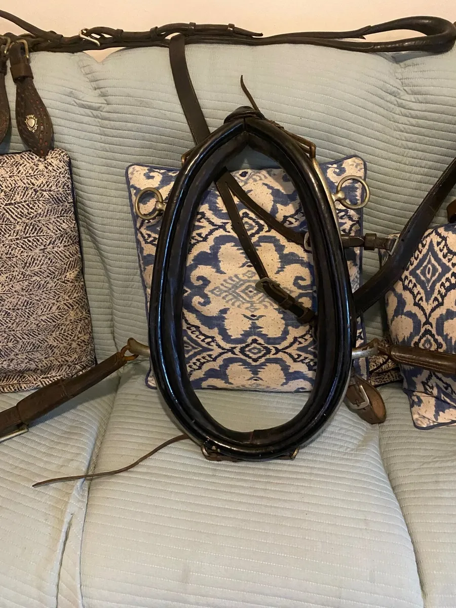 Driving Harness - Image 4