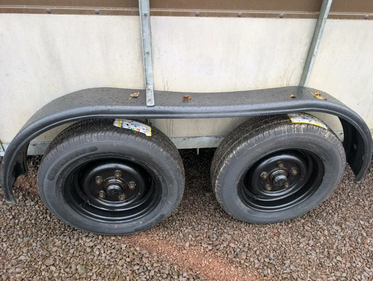 Cattle trailer - Image 2