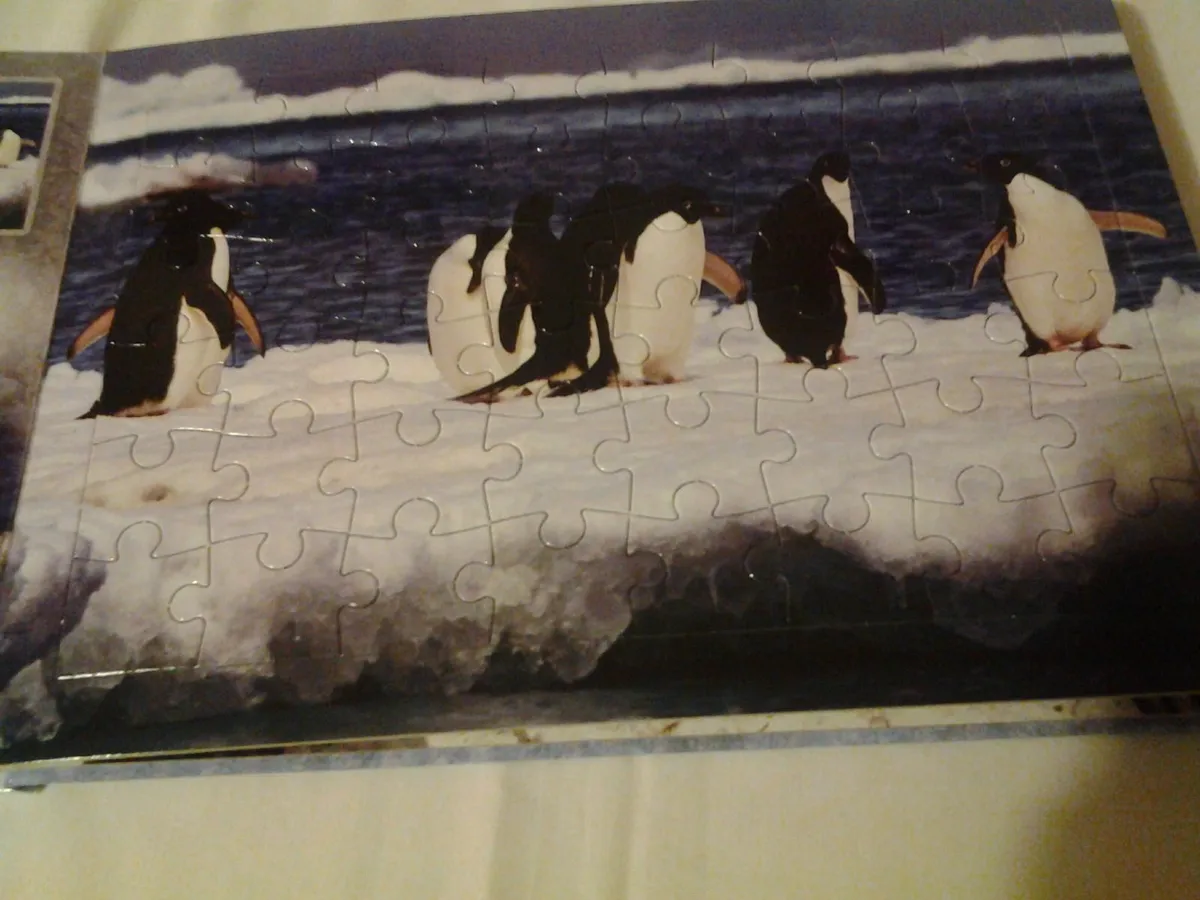 Penguins Jigsaw Book for Sale - Image 3