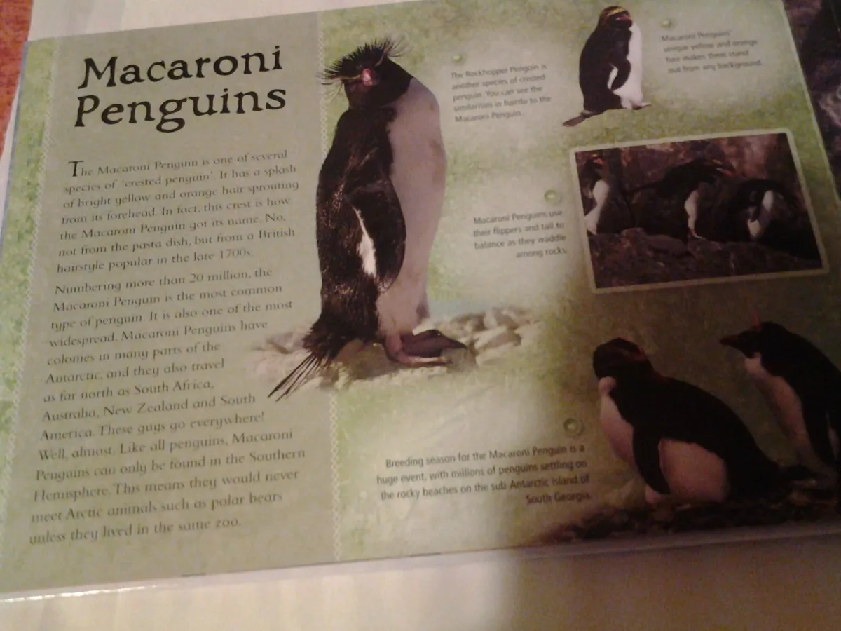 Penguins Jigsaw Book for Sale - Image 4