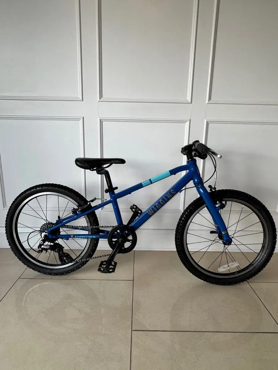 Wiggins Chartres 20 inch kids bike - Image 1