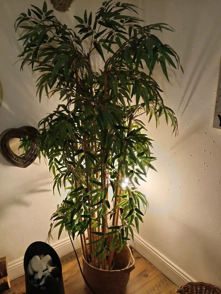 House stuff - Image 4