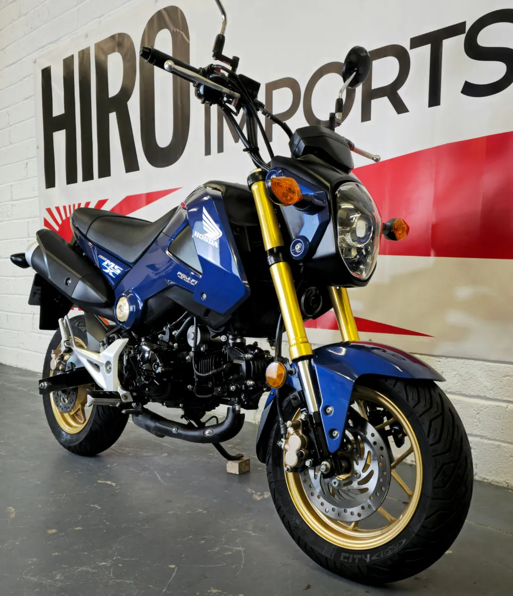 2015 Honda MSX 125 - Image 4