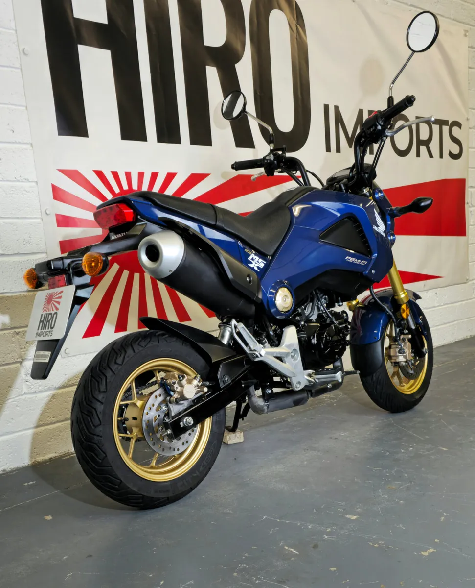 2015 Honda MSX 125 - Image 3