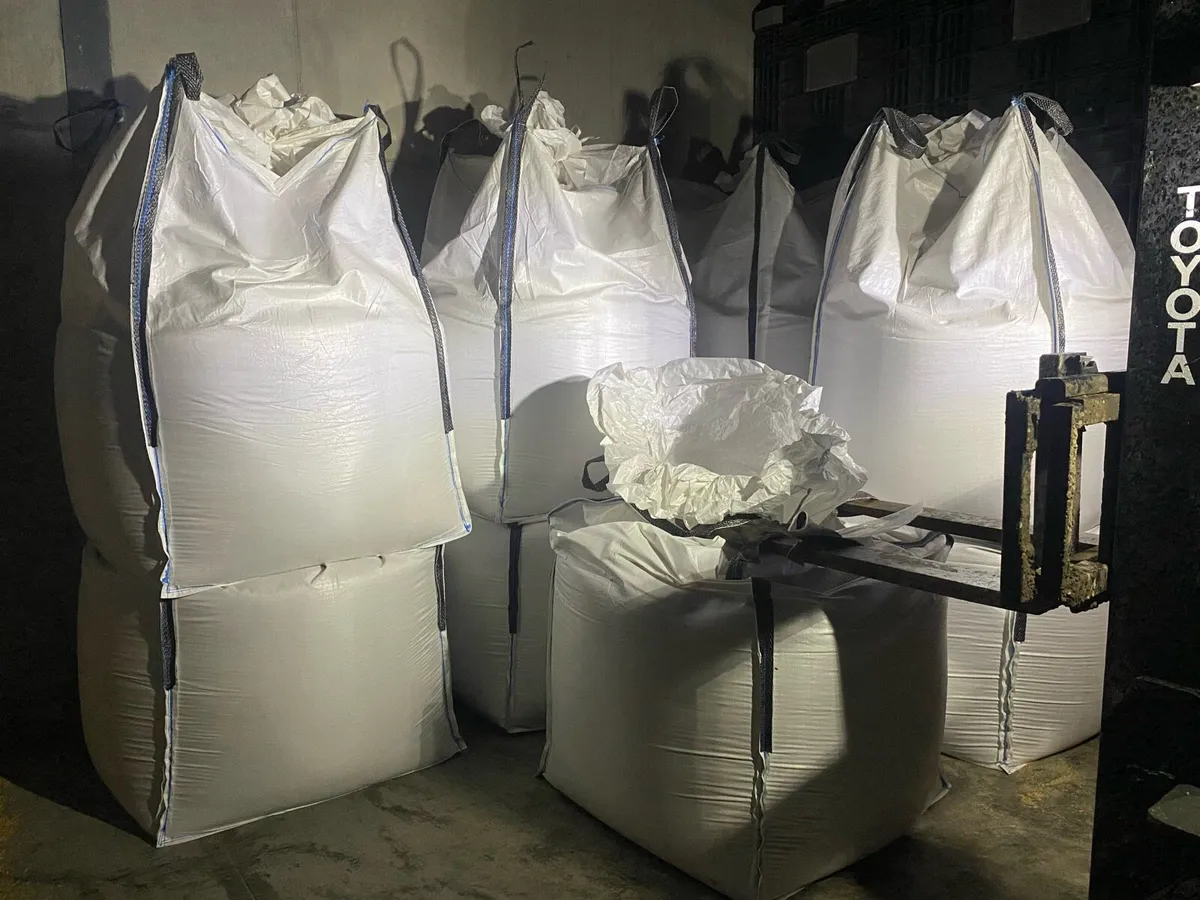 Cleaned wheat - Image 4