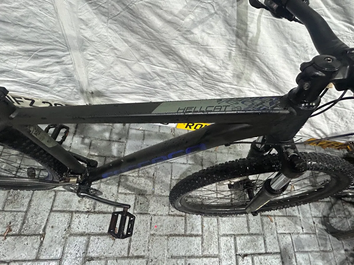 Carrera Hellcat ❗️Open 7 days of the week ❗️ - Image 2