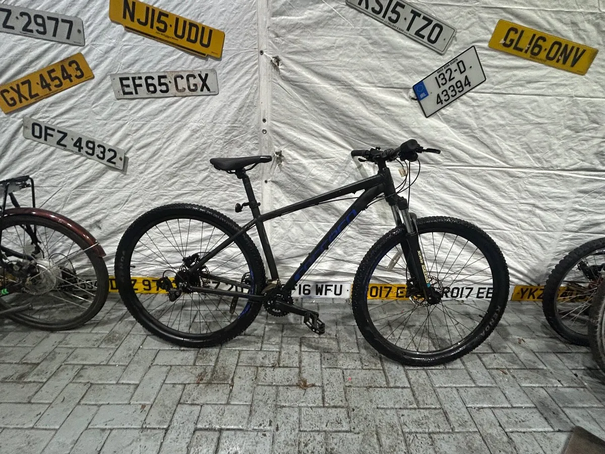 Carrera Hellcat ❗️Open 7 days of the week ❗️ - Image 1