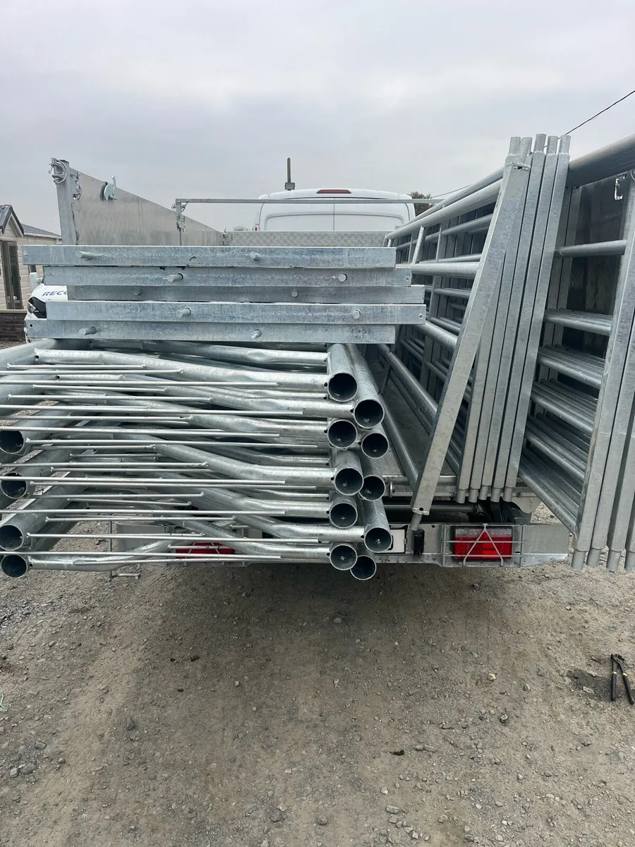 5 foot sheep , Pens - Image 3