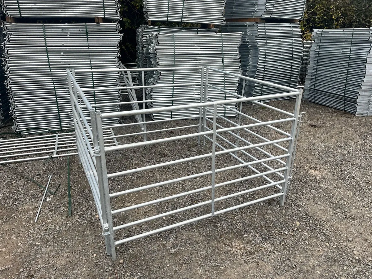 5 foot sheep , Pens - Image 4