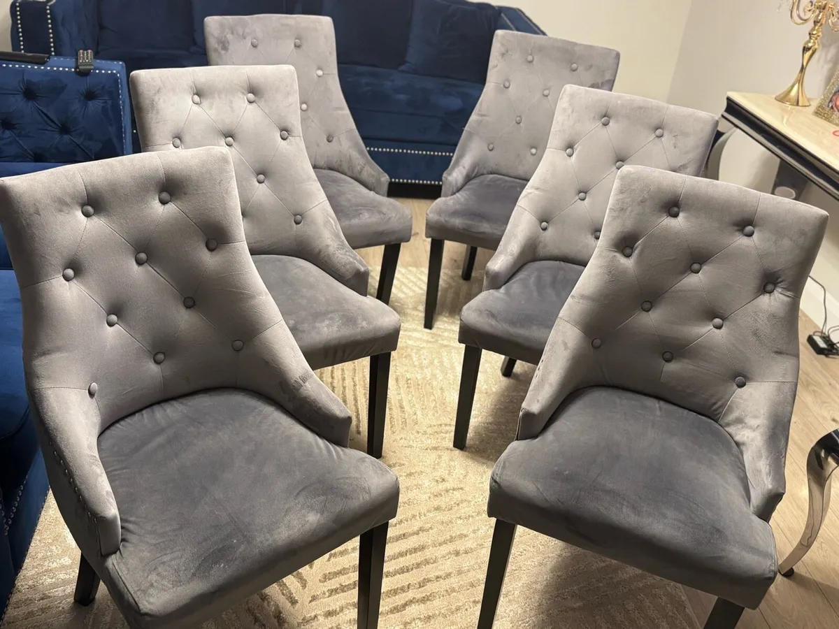 6 Velvet Chairs - Image 1