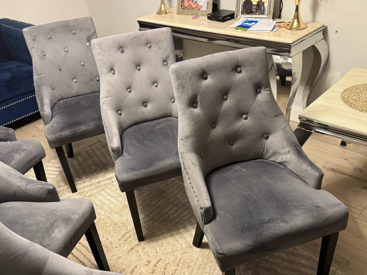 6 Velvet Chairs - Image 2
