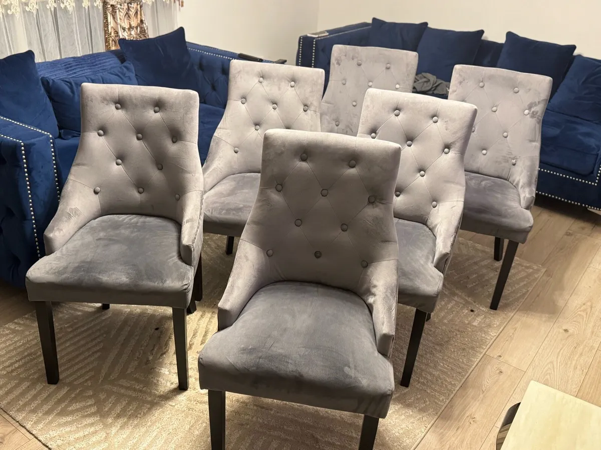 6 Velvet Chairs - Image 3