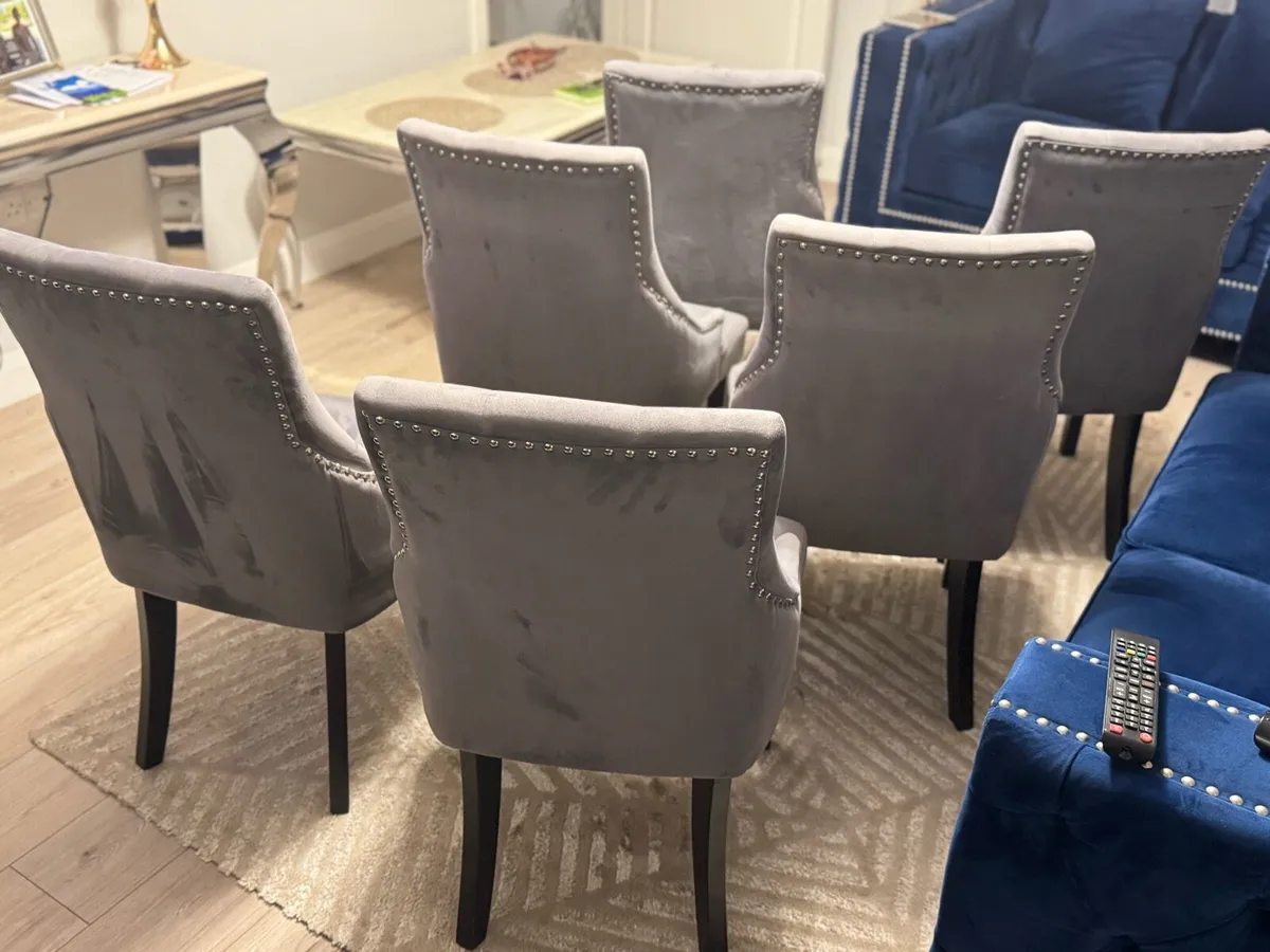 6 Velvet Chairs - Image 4