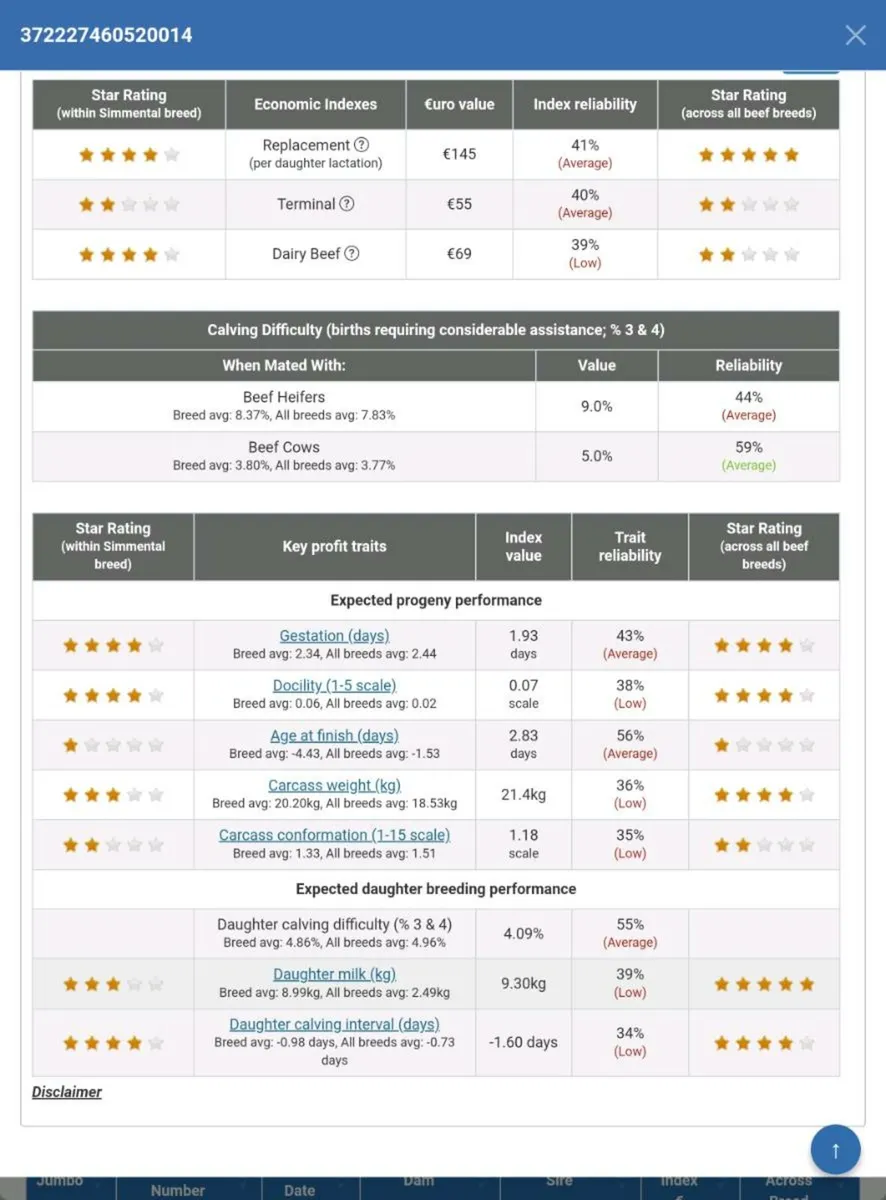 PBR Simmental Bull Weanling ENNIS MART TUES 11TH - Image 4