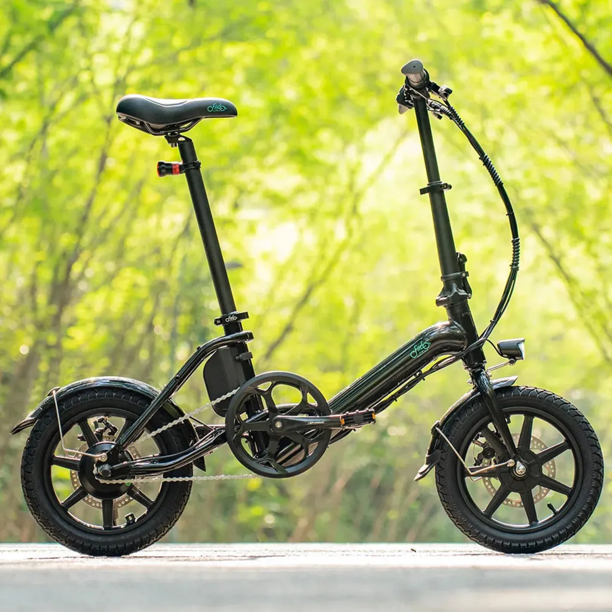 Fiido electric bike d3 pro - Image 1