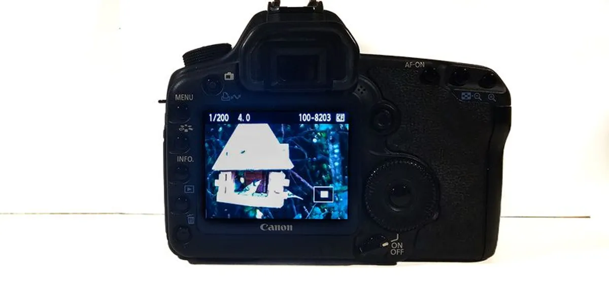 Canon Eos 5D Mkii and 2 Lenses - Image 3