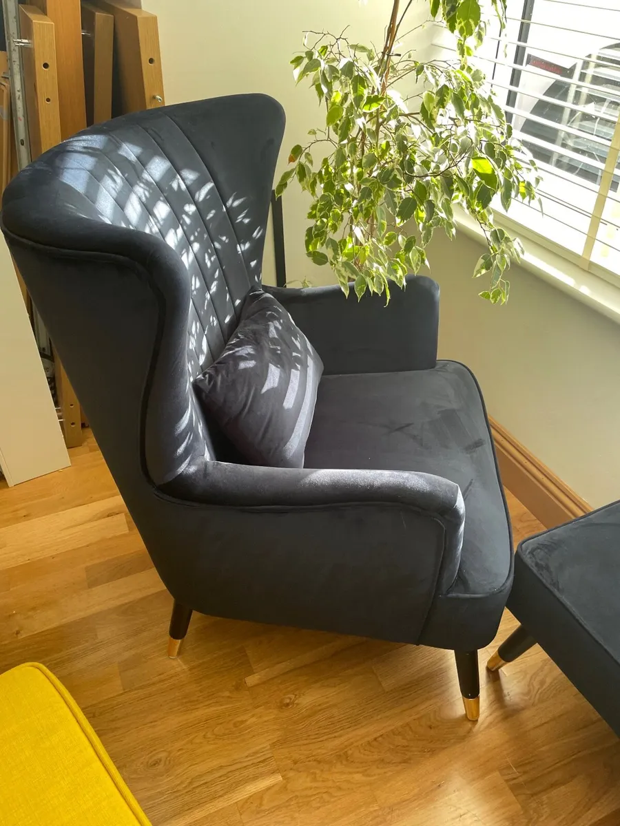 Ivanka 77Cm Wide Armchair and Ottoman - Image 1