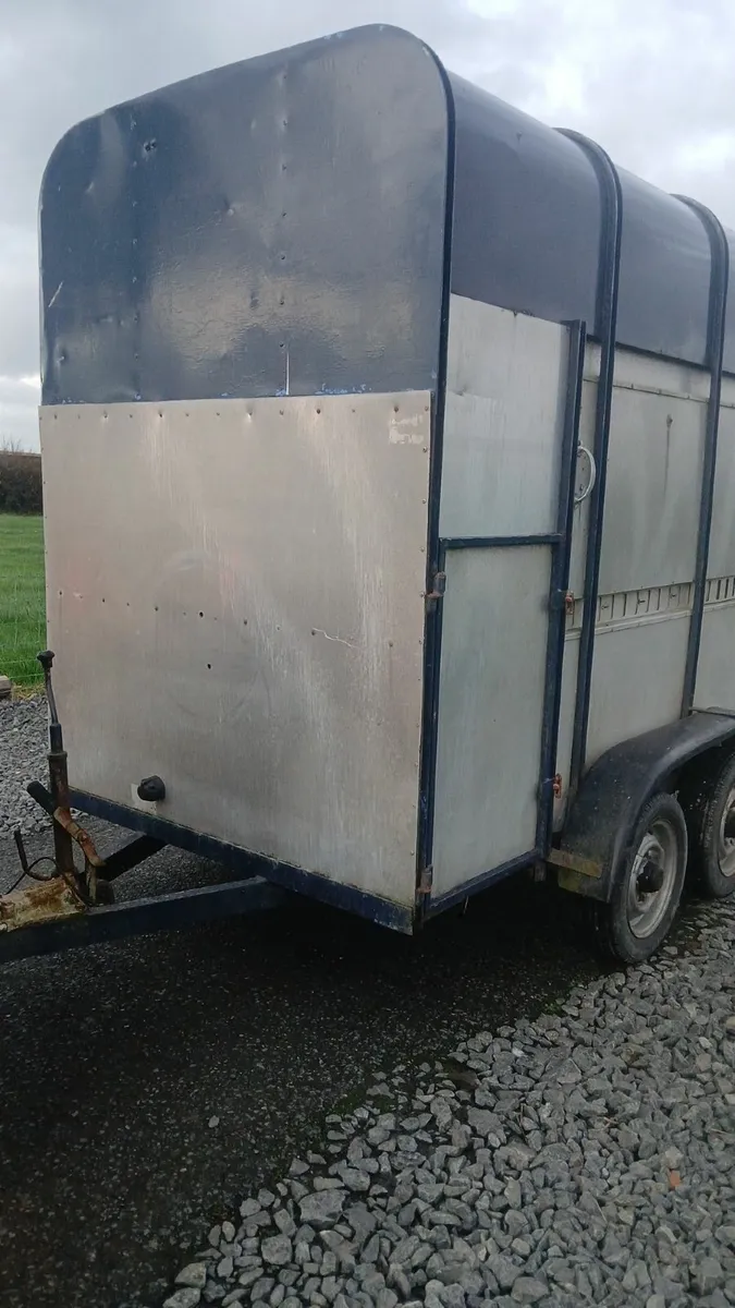 💥ifor williams Cattle trailer💥**cheap - Image 2