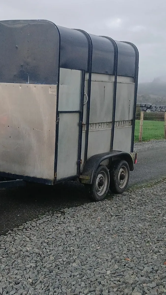 💥ifor williams Cattle trailer💥**cheap - Image 3