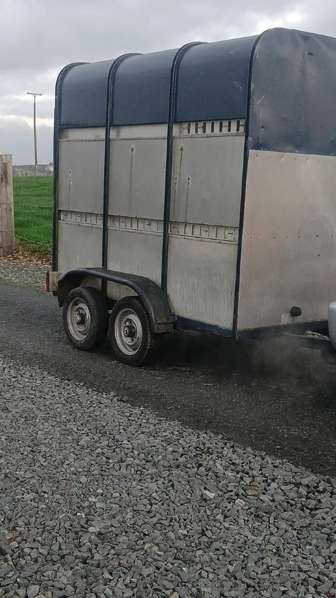 💥ifor williams Cattle trailer💥**cheap - Image 4