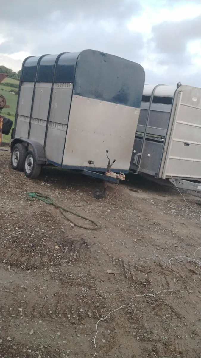 💥ifor williams Cattle trailer💥**cheap - Image 1