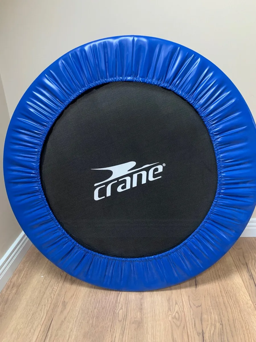 Mini Trampoline - Image 1