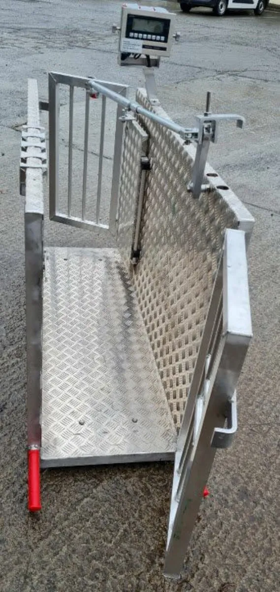 Scales for pig/calft/sheep/alpaca - Image 2