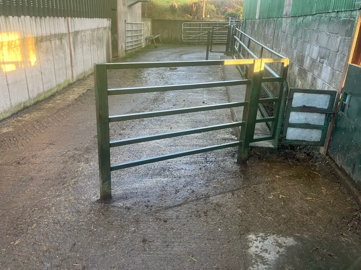 Cattle crush - Image 1