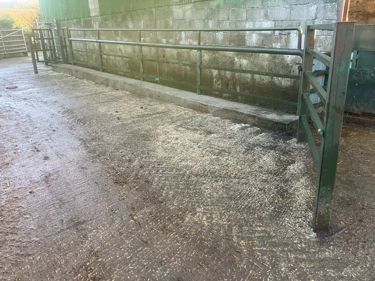 Cattle crush - Image 2