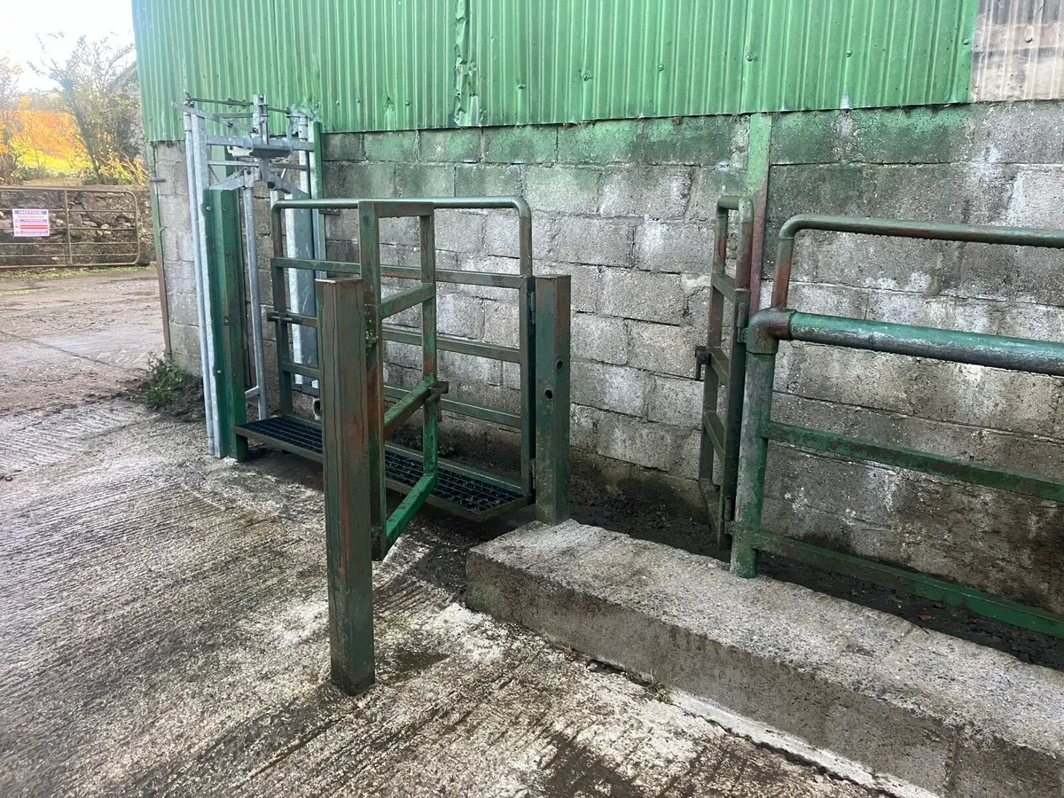 Cattle crush - Image 3