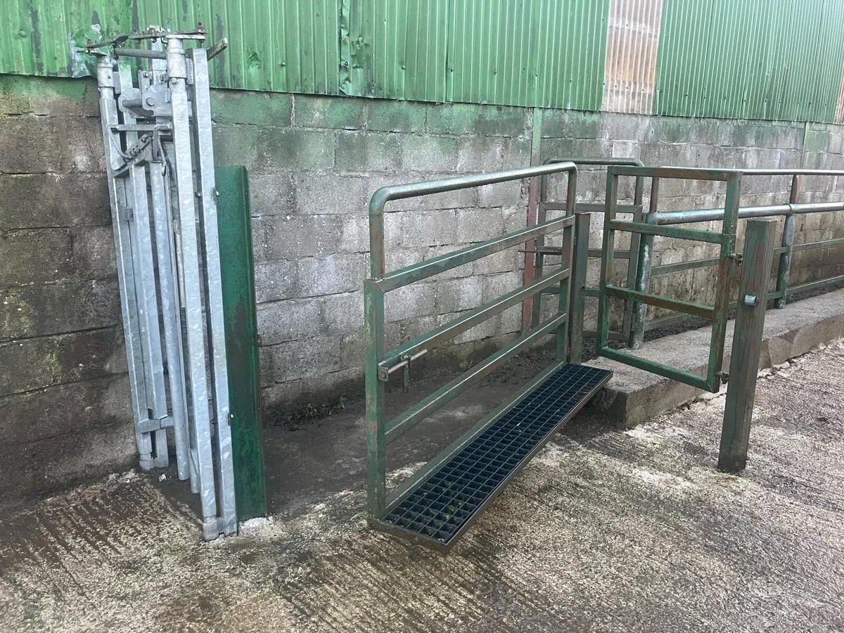 Cattle crush - Image 4